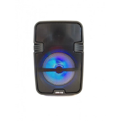 Колонка № ESS-110 міні валіза від мережі та від акумулятора з USB